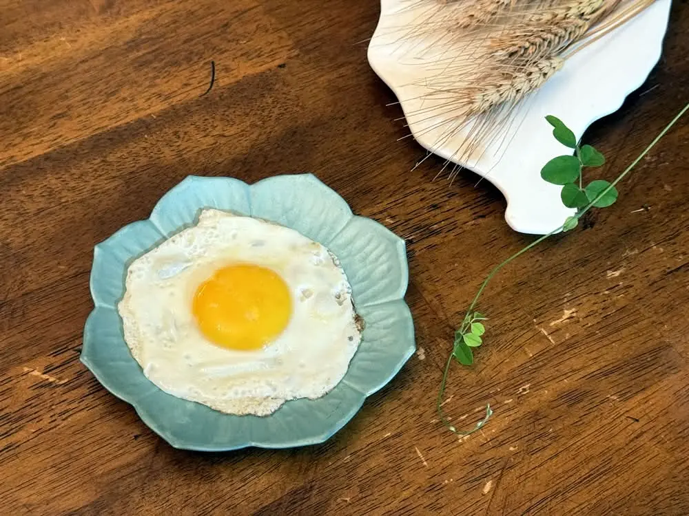 Fried Egg